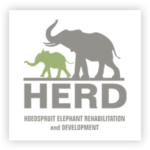 Logo Herd association éléphant